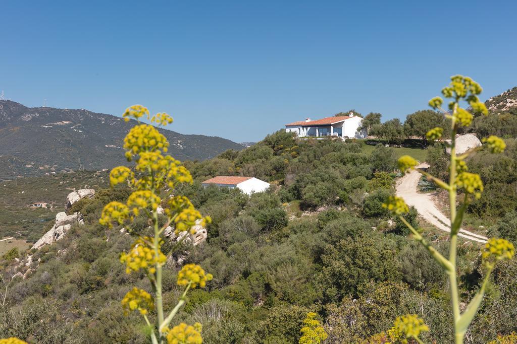奧爾比亞Agriturismo Cabu Abbas别墅 外观 照片